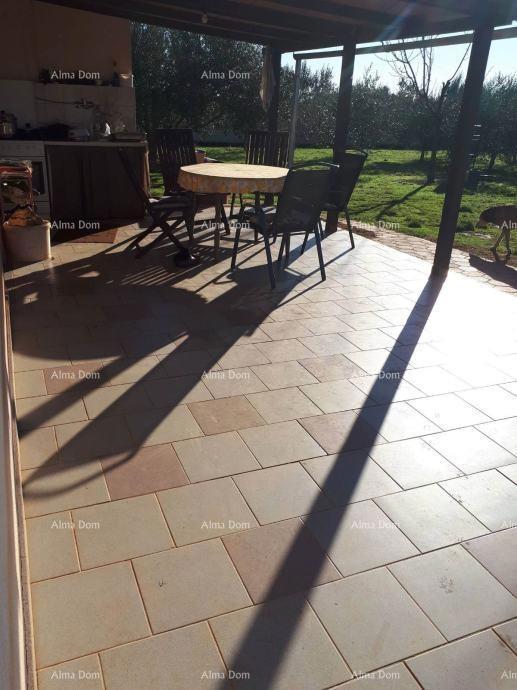 The translation of the title