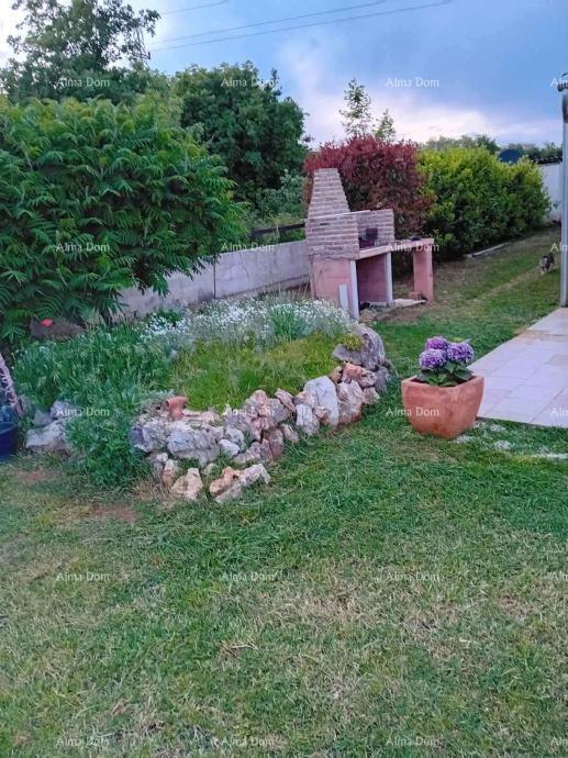 The translation of the title