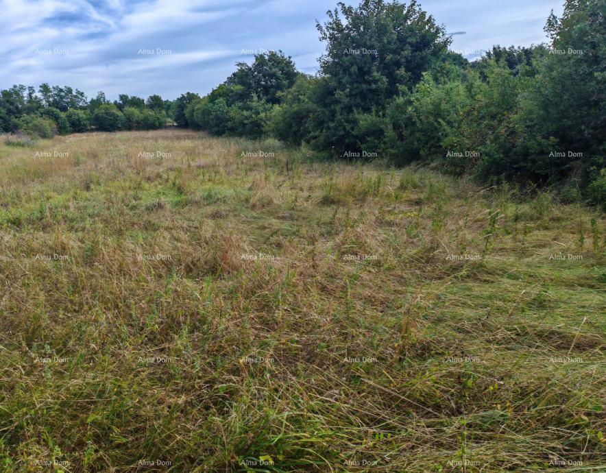 Građevinsko zemljište površine 1.600 m² v bližini Svetvinčenta