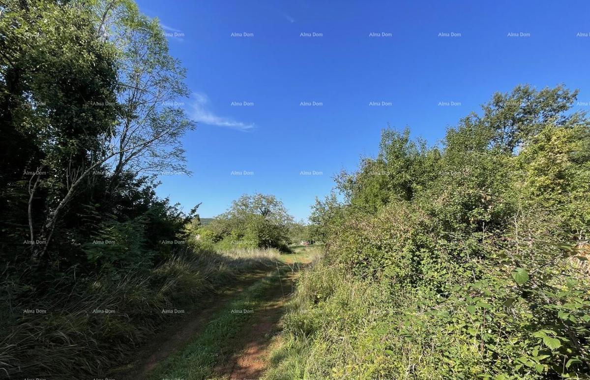 Prodaja - kamena istrska kuća za renovaciju s velikim zemljištem, Oprtalj!