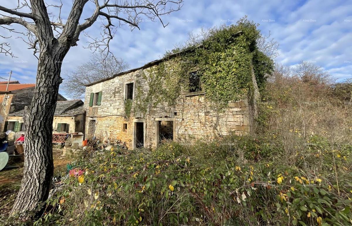 Prodaja - kamena istrska kuća za renovaciju s velikim zemljištem, Oprtalj!