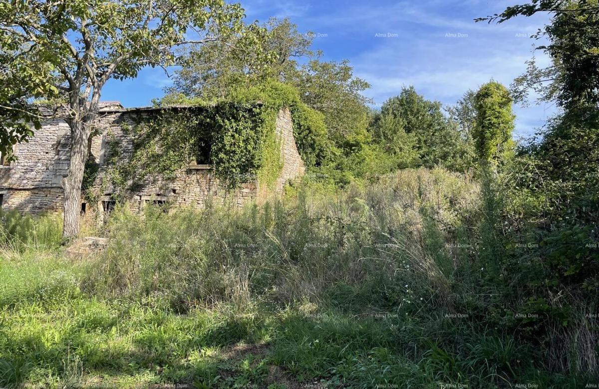Prodaja - kamena istrska kuća za renovaciju s velikim zemljištem, Oprtalj!