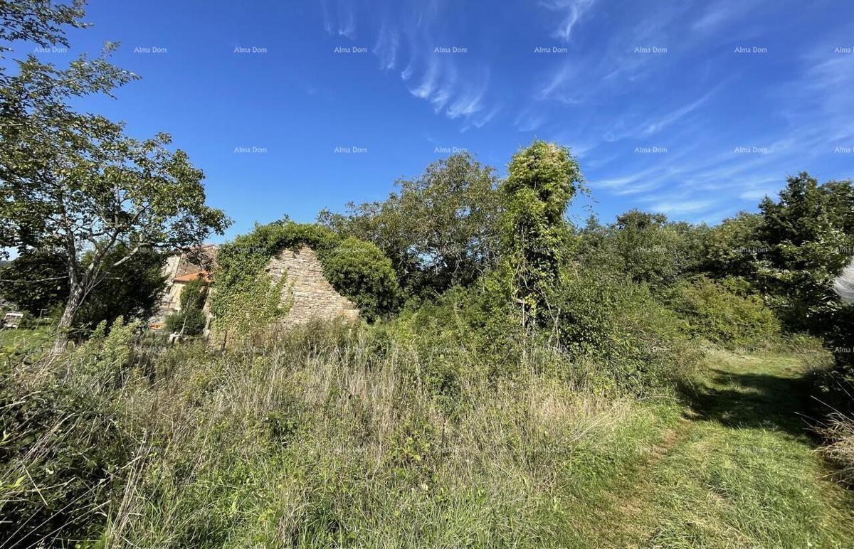 Prodaja - kamena istrska kuća za renovaciju s velikim zemljištem, Oprtalj!