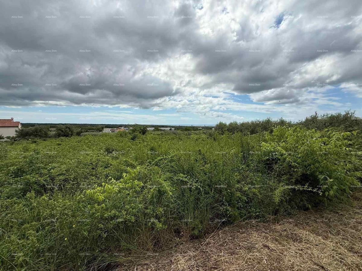 The translation of the title