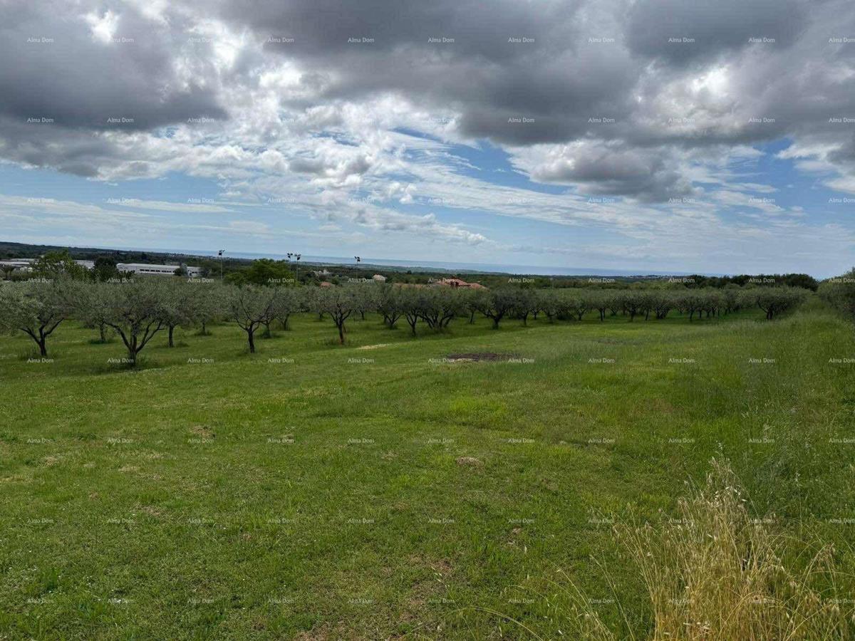 The translation of the title