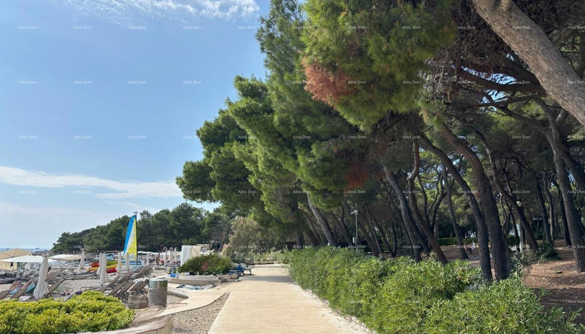 ROVINJ - prodaja stanovanja v luksuzni rezidenci ob morju / S5