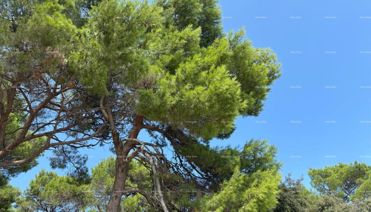 ROVINJ - prodaja stanovanja v luksuzni rezidenci ob morju / S5