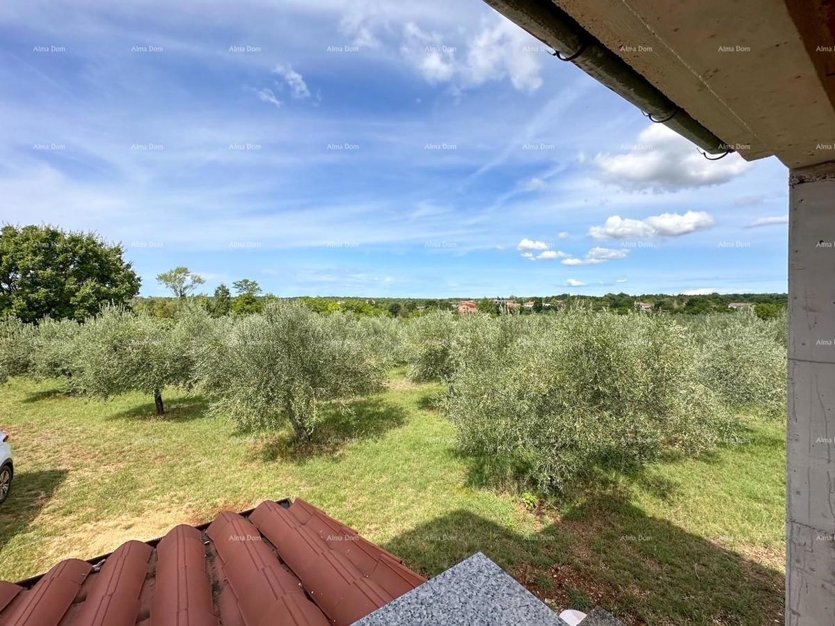 Prodamo hišo, Vodnjan