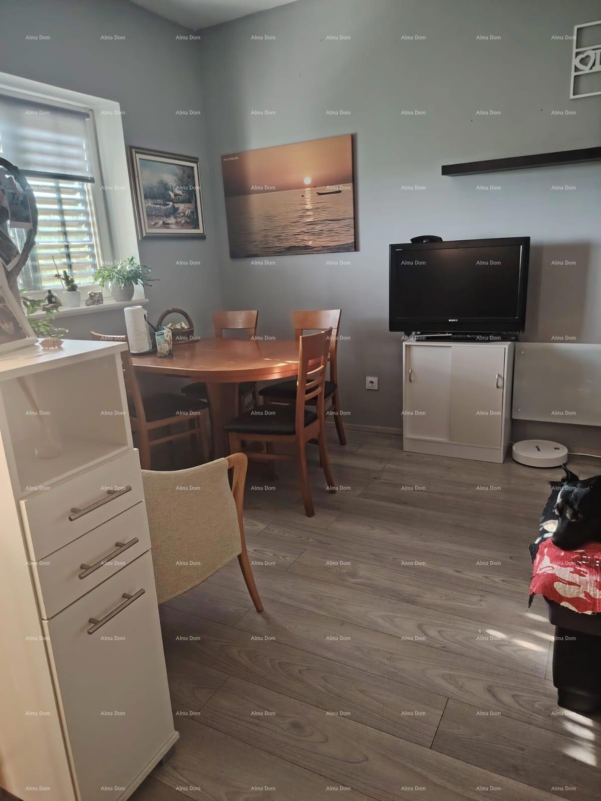 PEROJ – STANOVANJE NA 1. NADSTROPJU