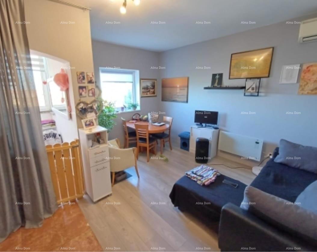 PEROJ – STANOVANJE NA 1. NADSTROPJU