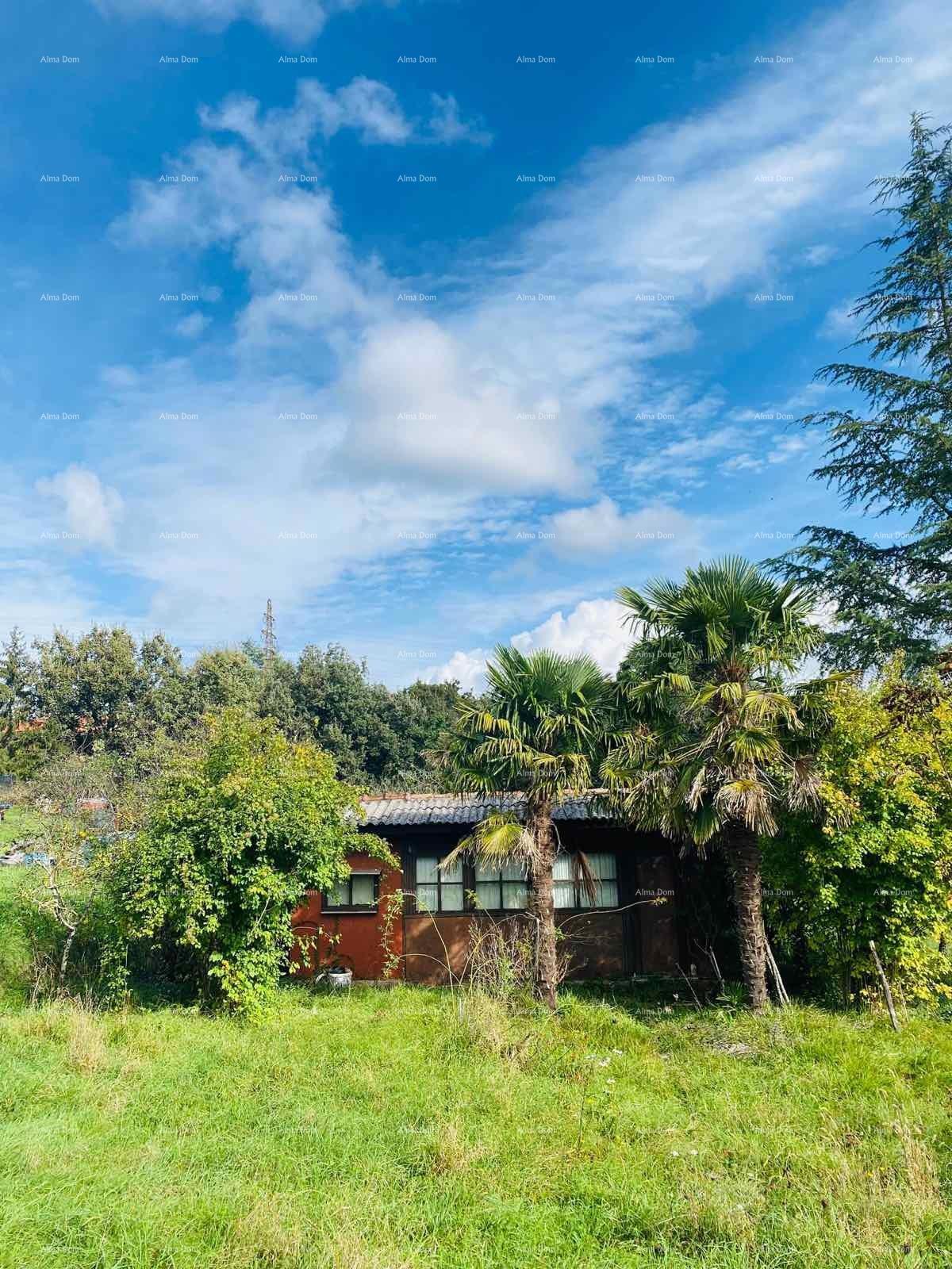 The translation of the title