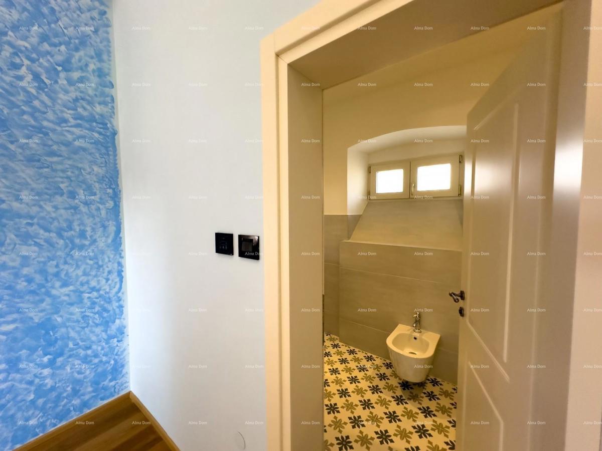 The translation of.   Istra  Barban