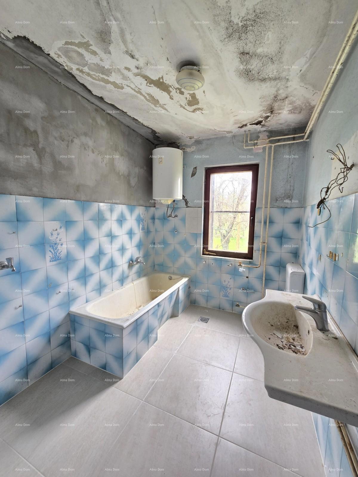 Prostrana hiša blizu Pule! Dva stanovanja - 2500 m² zemljišča!