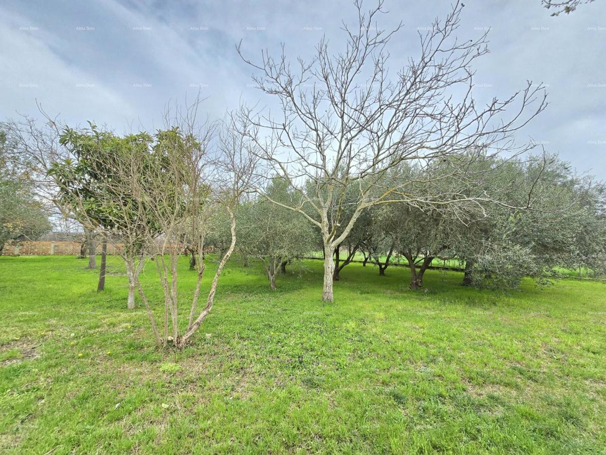 Prostrana hiša blizu Pule! Dva stanovanja - 2500 m² zemljišča!