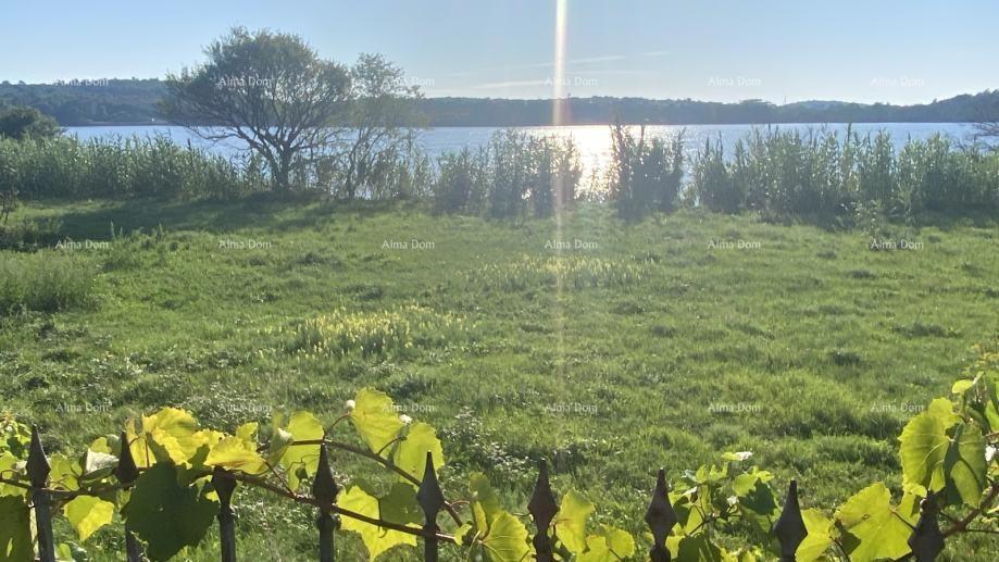 POMER, prva vrsta do morja, hiša z zazidljivim zemljiščem in projektom za luksuzno vilo