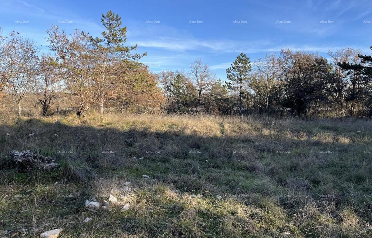 Jurcanija, Buje. Gradbene parcele s panoramskim pogledom