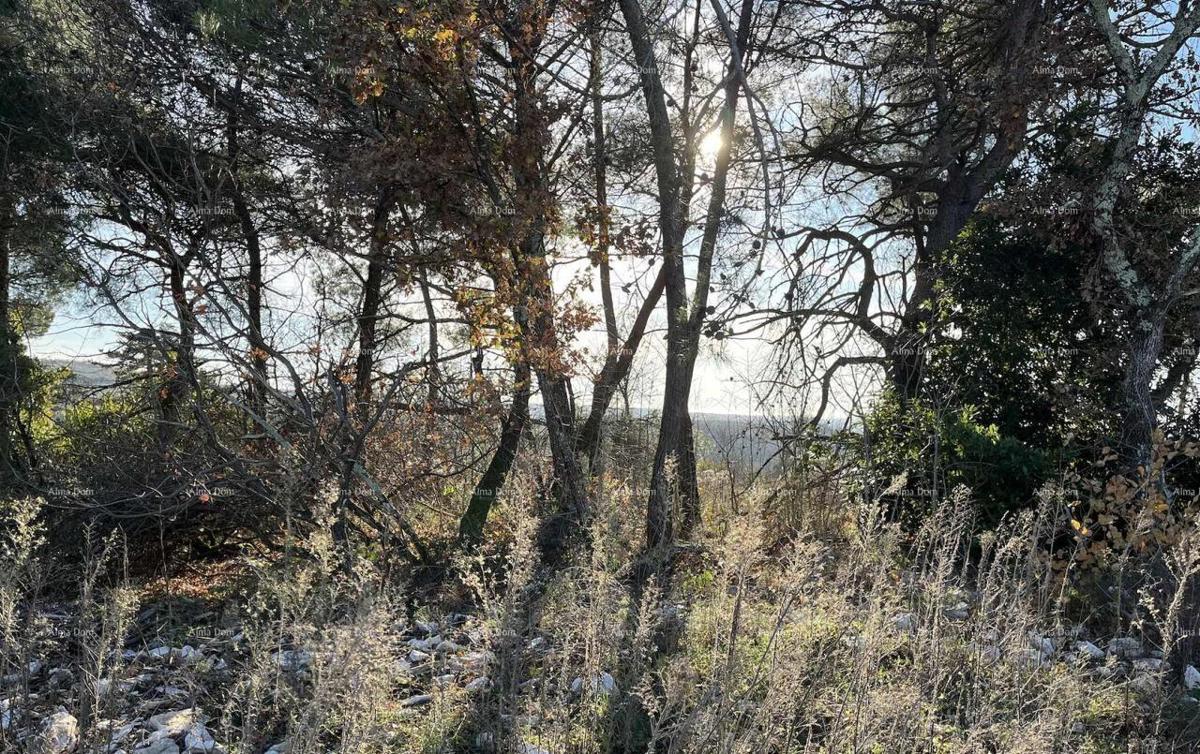Jurcanija, Buje. Gradbene parcele s panoramskim pogledom