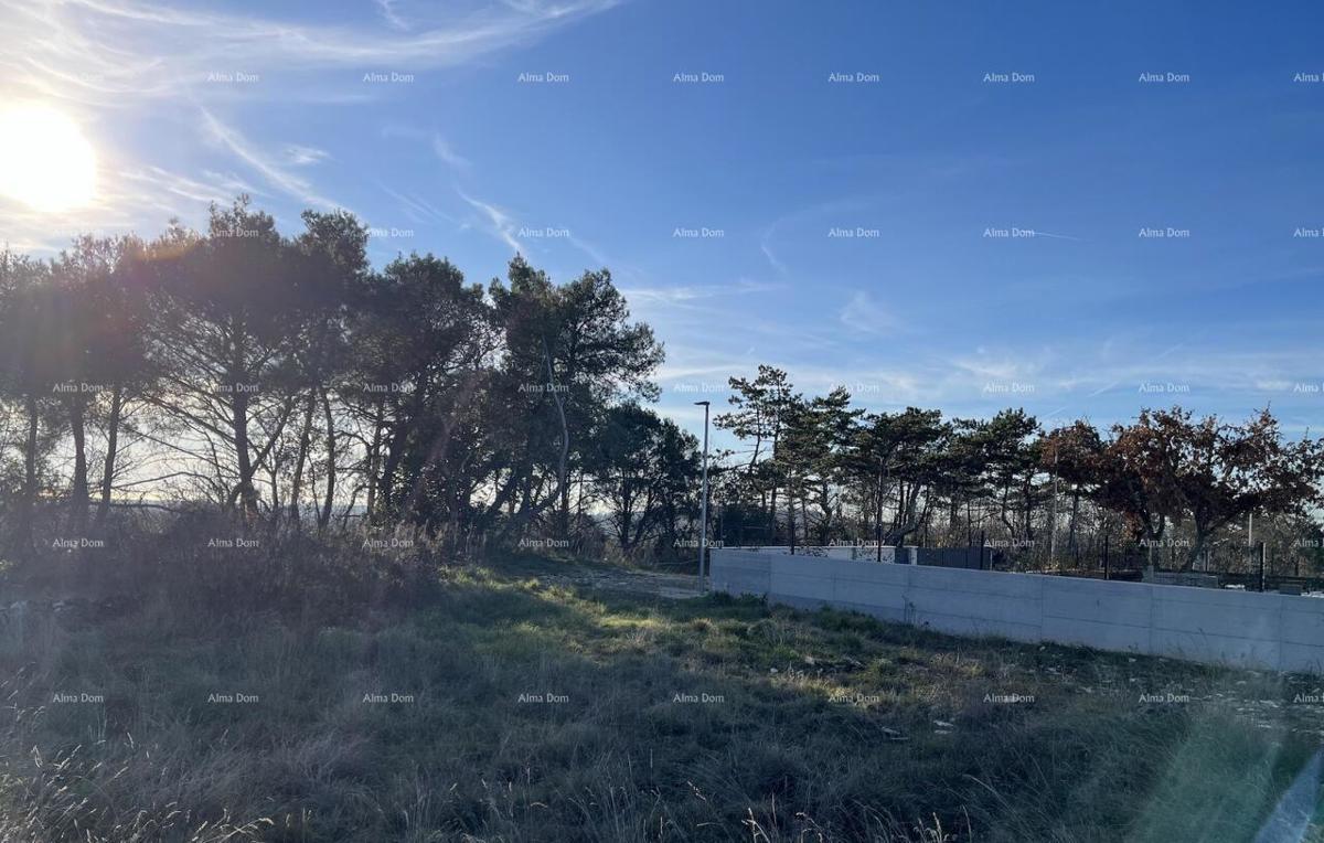 Jurcanija, Buje. Gradbene parcele s panoramskim pogledom