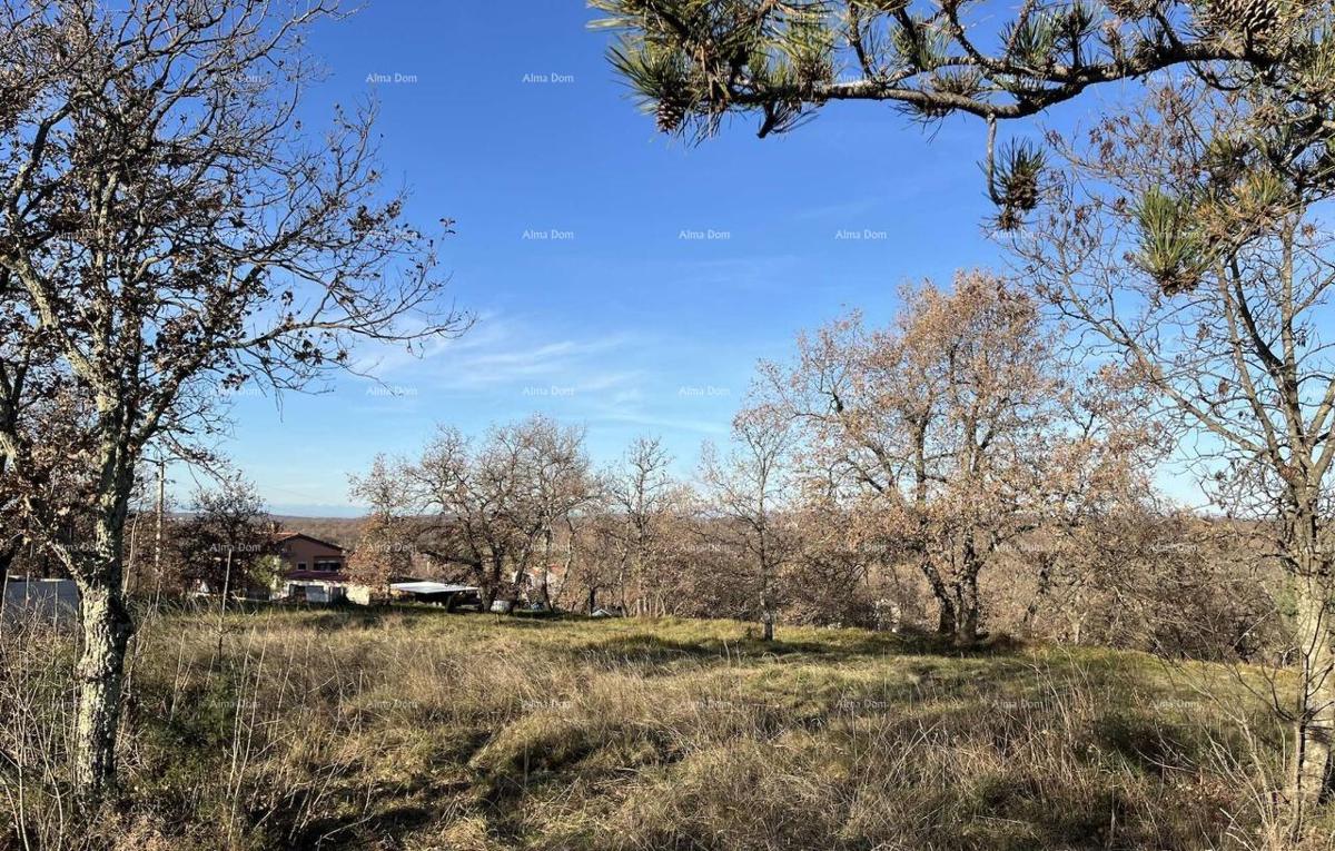 Jurcanija, Buje. Gradbene parcele s panoramskim pogledom