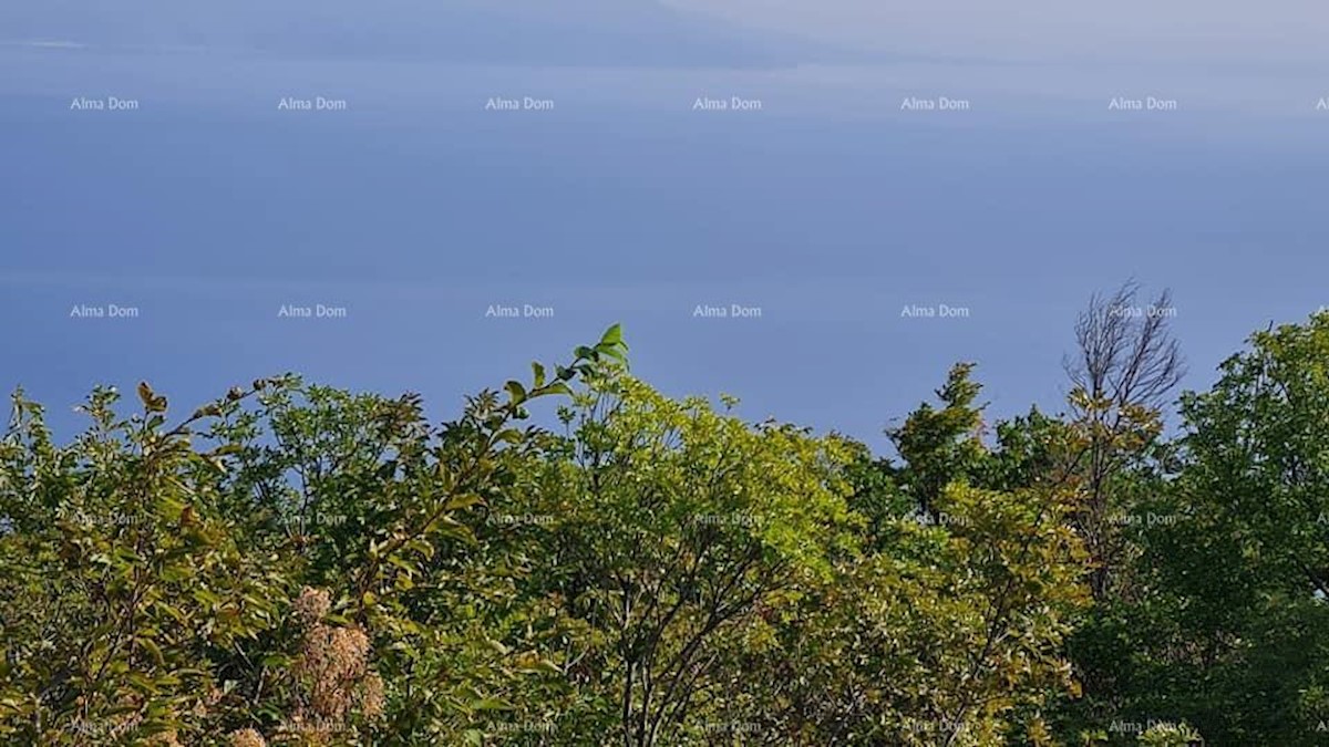 Prodamo kmetijsko zemljišče, okolica Labina