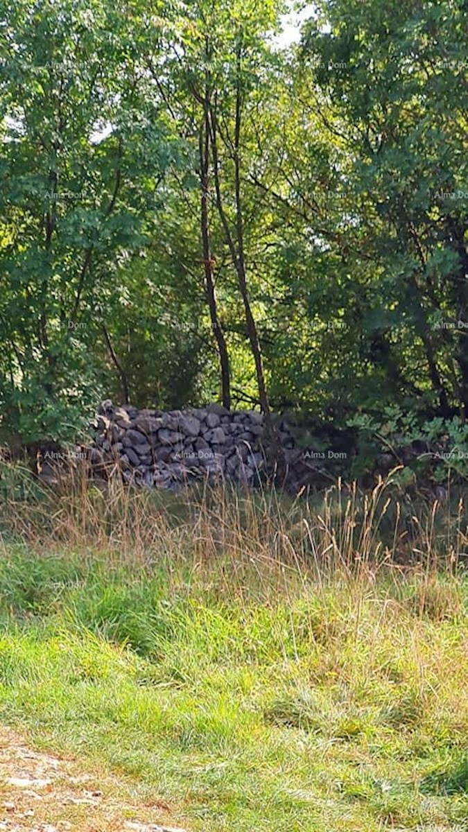 Prodamo kmetijsko zemljišče, okolica Labina