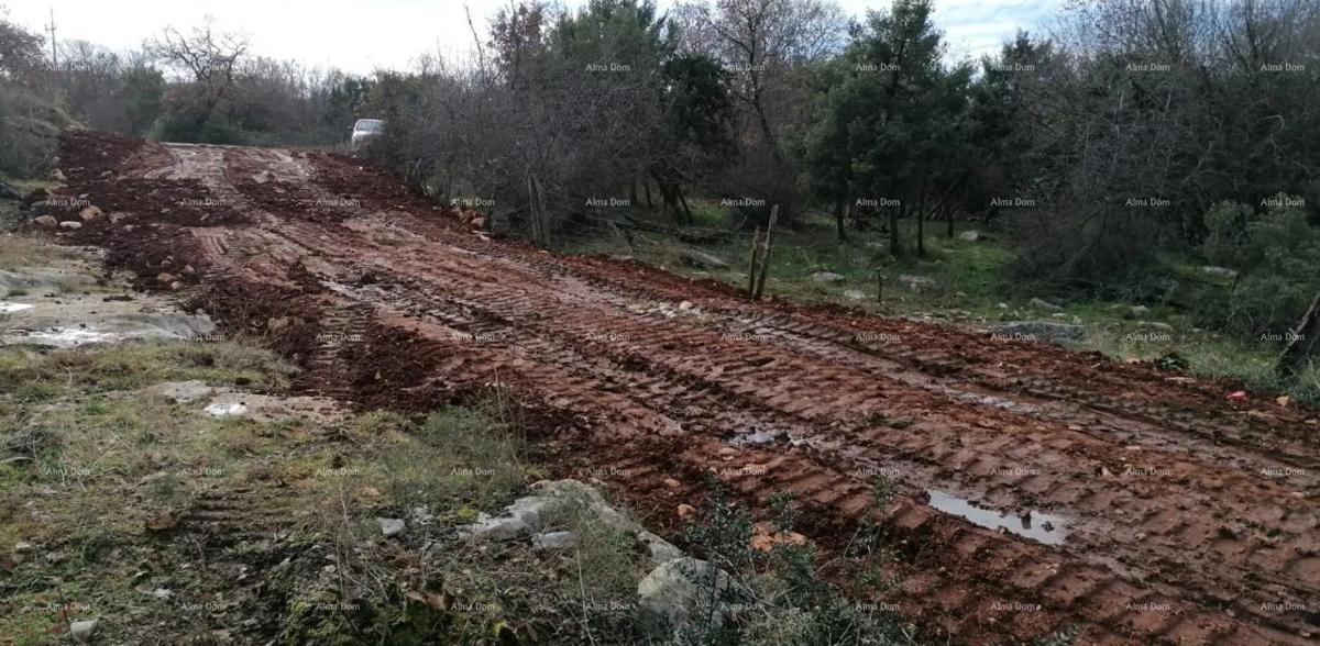 Prodamo zazidljivo zemljišče, Tar (Tar-Vabriga)