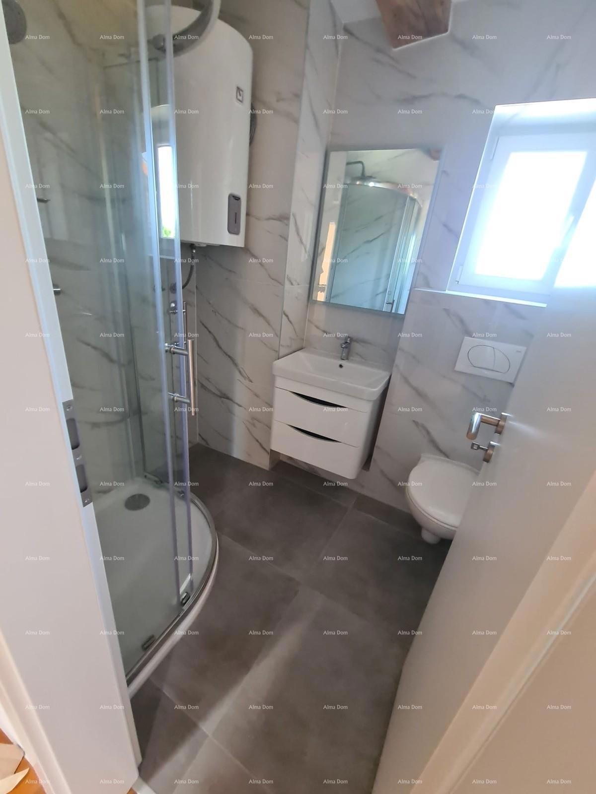Renovirana kamena kuća s bazenom – mirno selo blizu Svetvinčenta