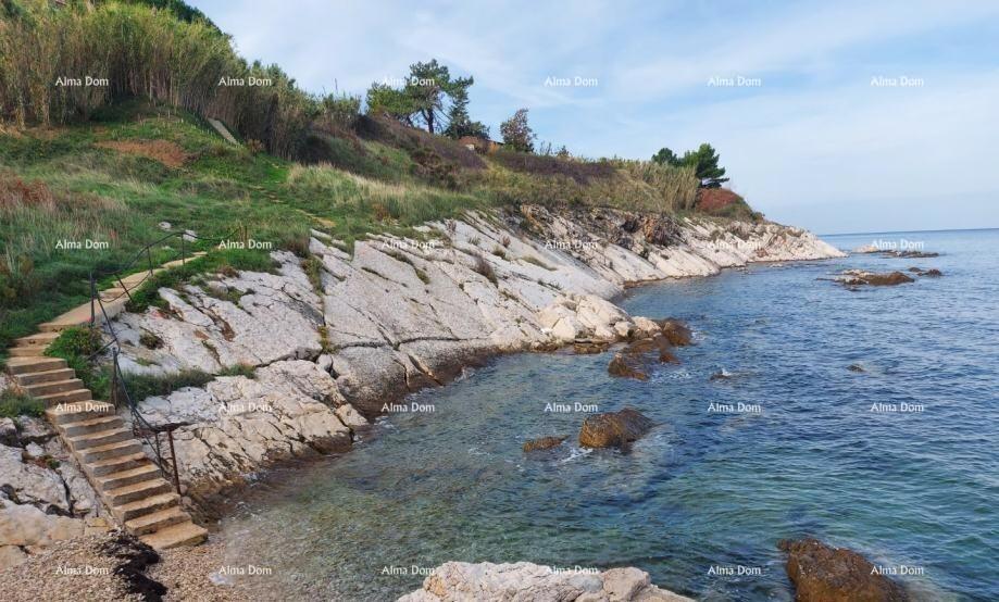 Savudrija, Alberi, atraktivna građevinska parcela na prodajo