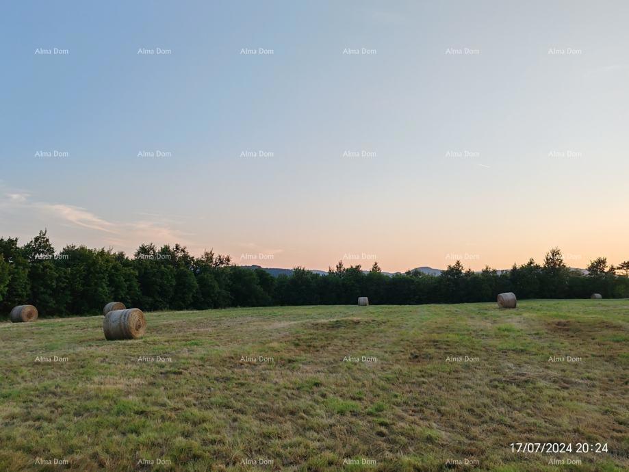 Građevinsko zemljište 1.650 m² – Buzet, Istra