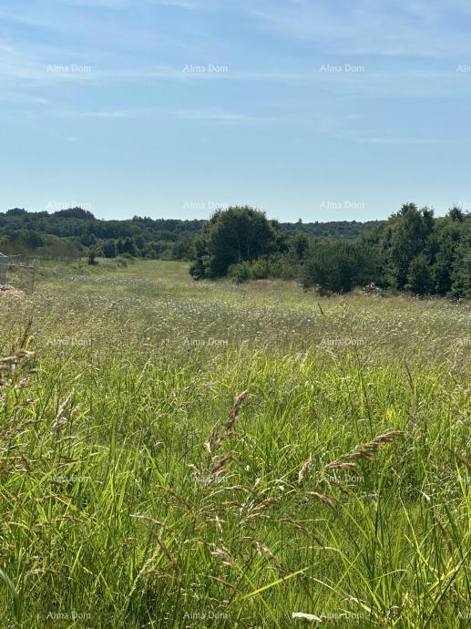 Prodamo zazidljivo zemljišče, 5832m2, Barban