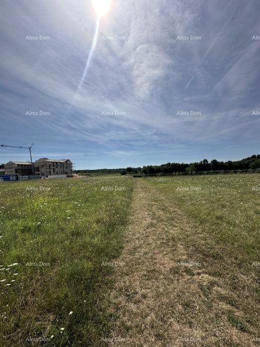 Prodamo zazidljivo zemljišče, 5832m2, Barban