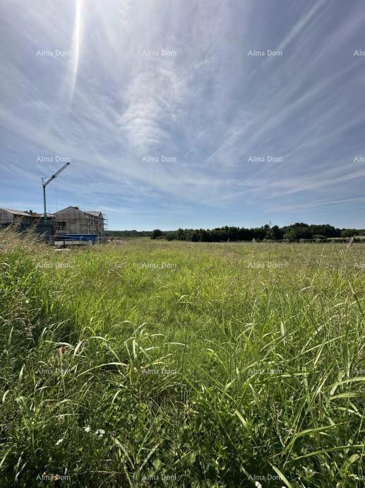 Prodamo zazidljivo zemljišče, 5832m2, Barban