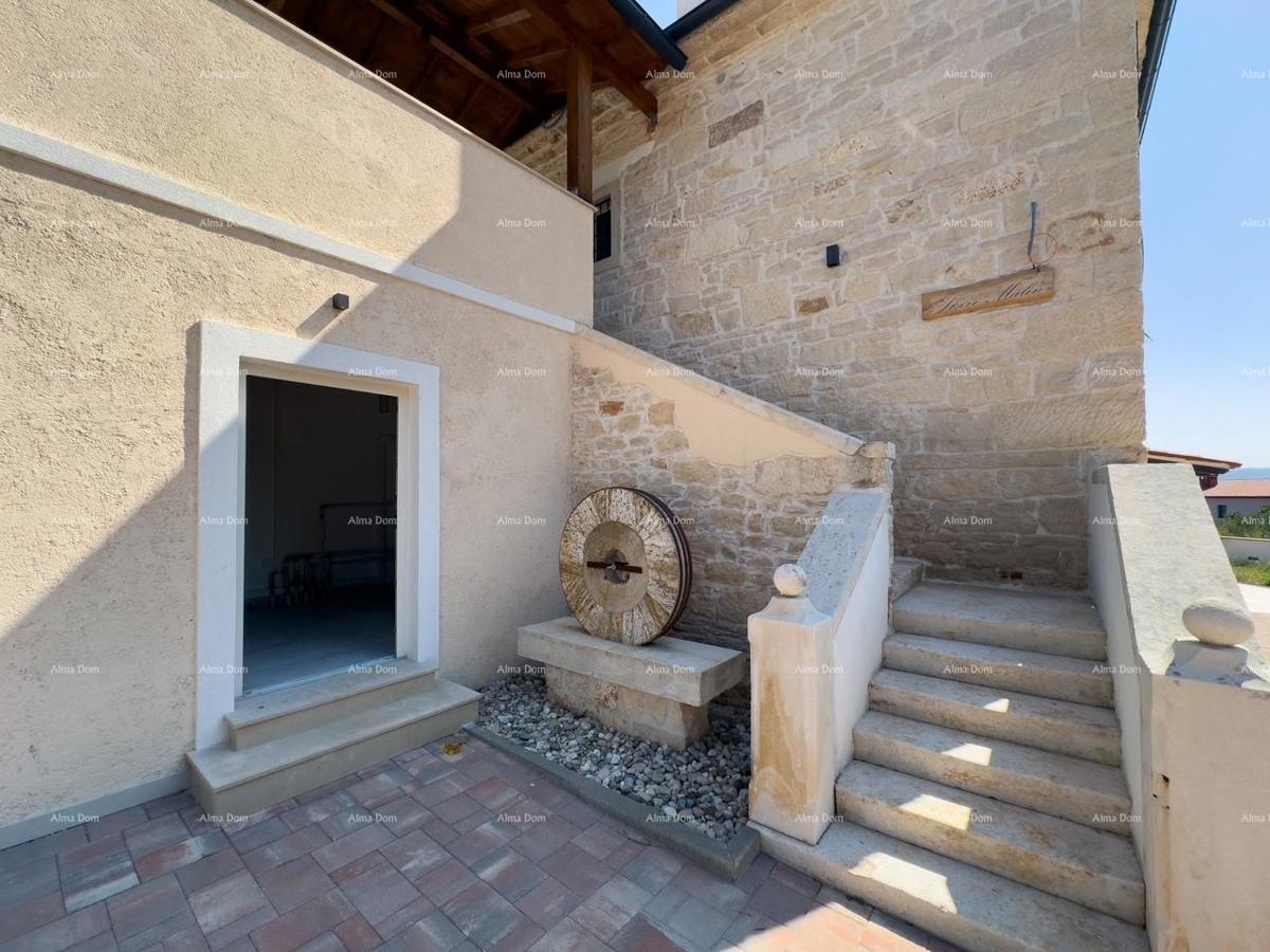 The translation of.   Istra  Barban