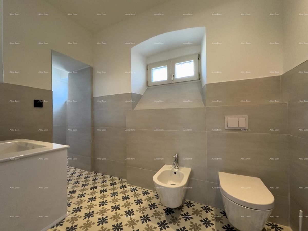 The translation of.   Istra  Barban