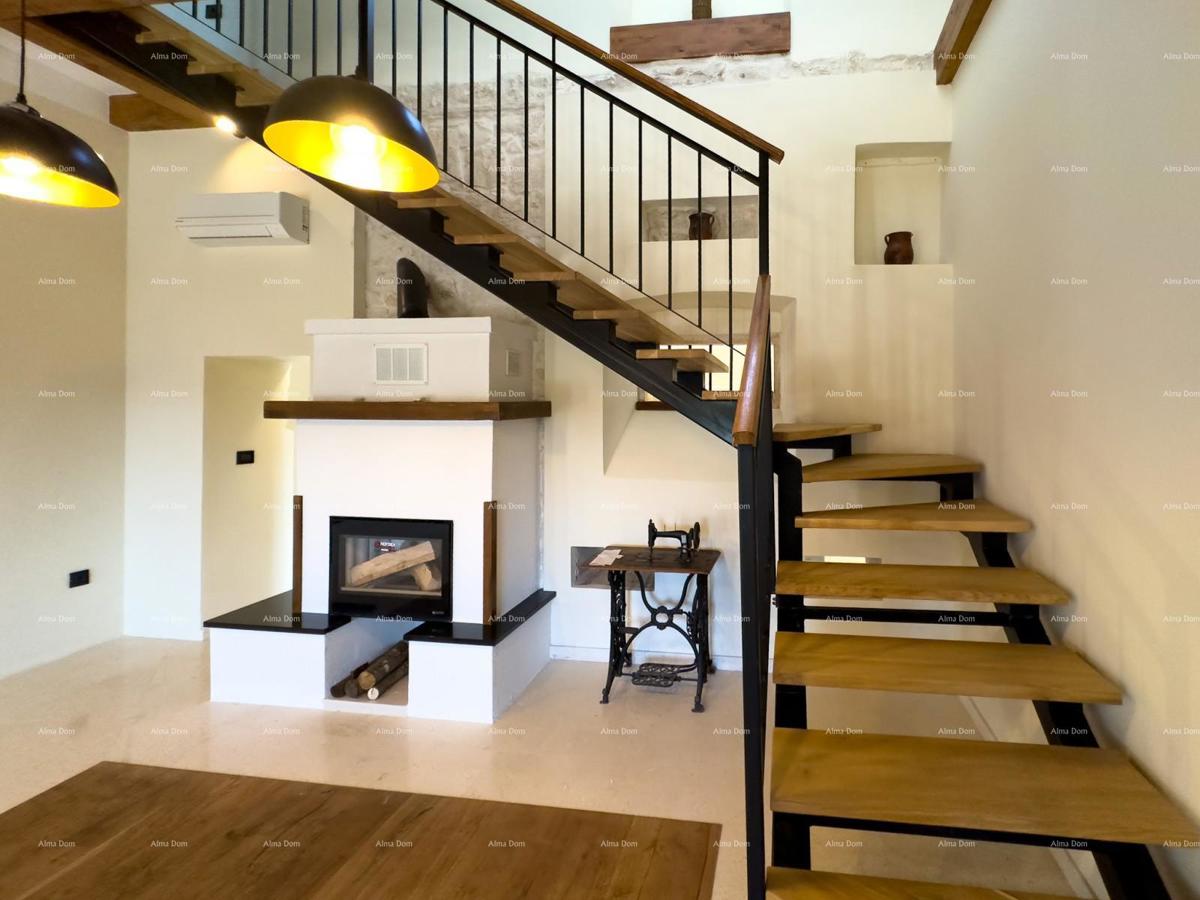 The translation of.   Istra  Barban