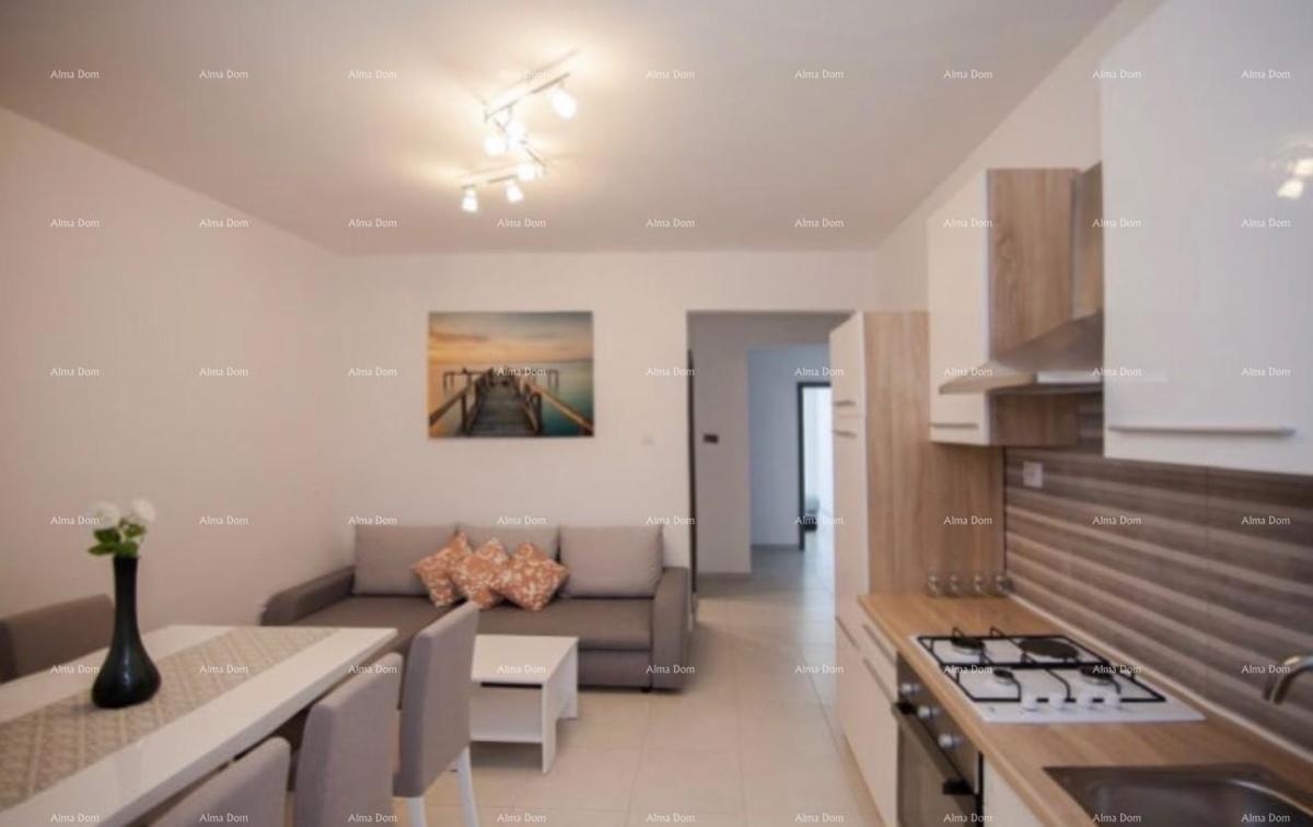 The translation of the title