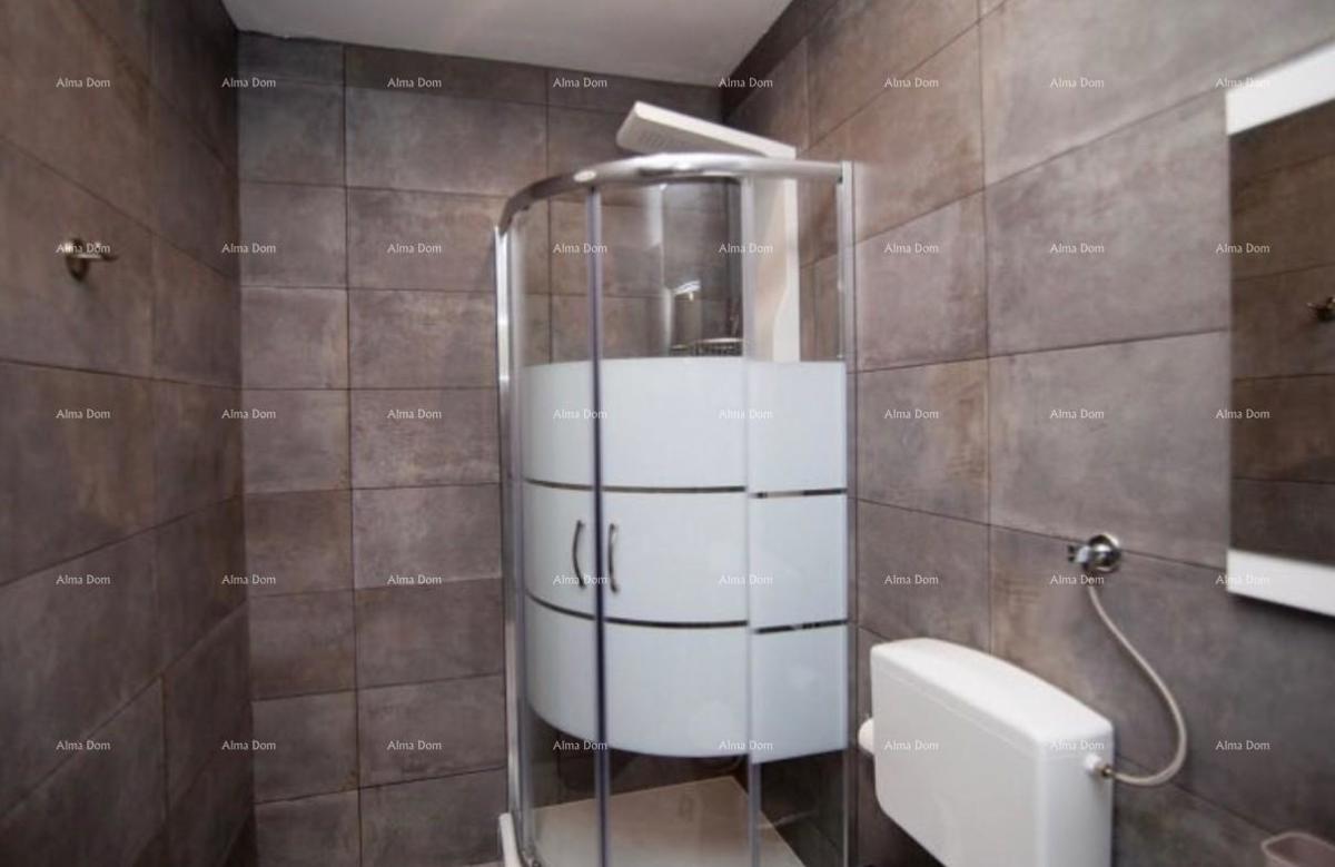 The translation of the title