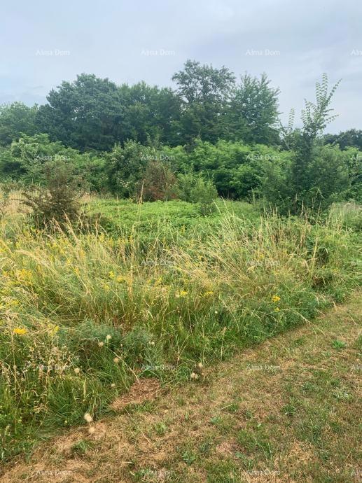 Pazin – gradbena parcela 940 m² v mirnem okolju