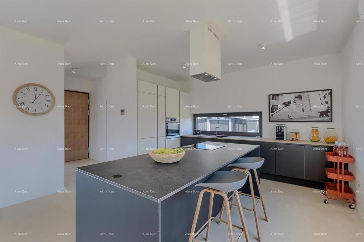 Pula Galižana. Vila s bazenom, zunanjo kuhinjo in pogledom na morje.