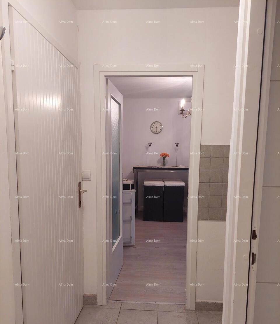 Novigrad – Mareda, stan s teraso 300 m od morja