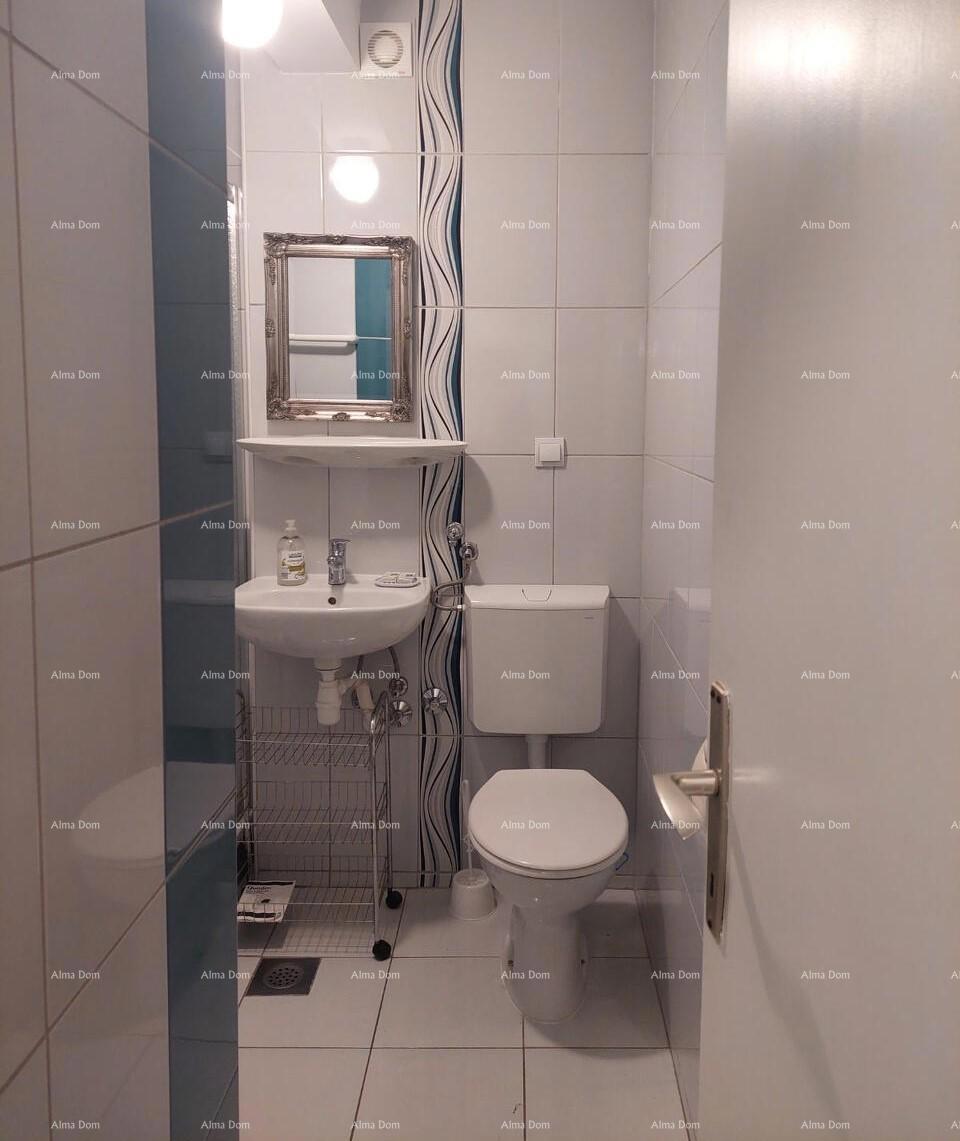 Novigrad – Mareda, stan s teraso 300 m od morja