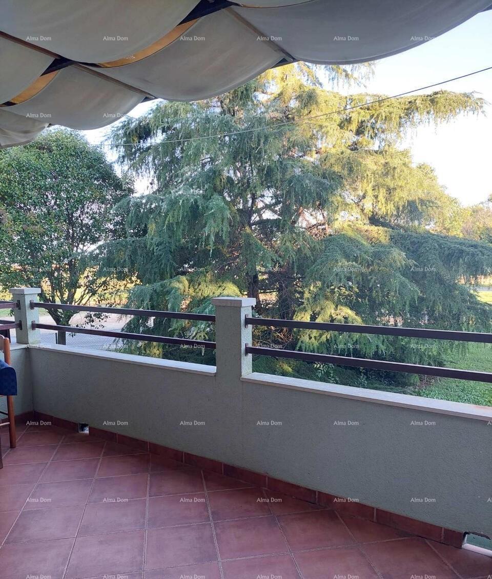 Novigrad – Mareda, stan s teraso 300 m od morja