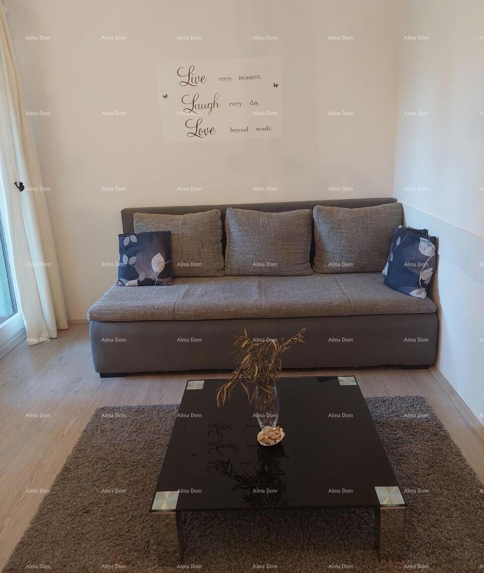 Novigrad – Mareda, stan s teraso 300 m od morja