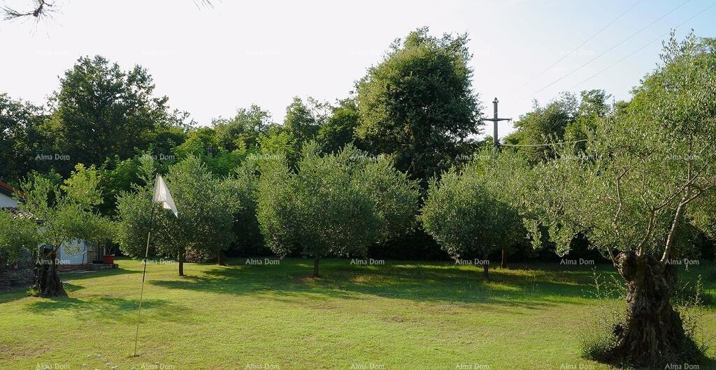 UMAG, Hiša, 144 m², z velikim vrtom in letno kuhinjo, popolnoma prenovljena!