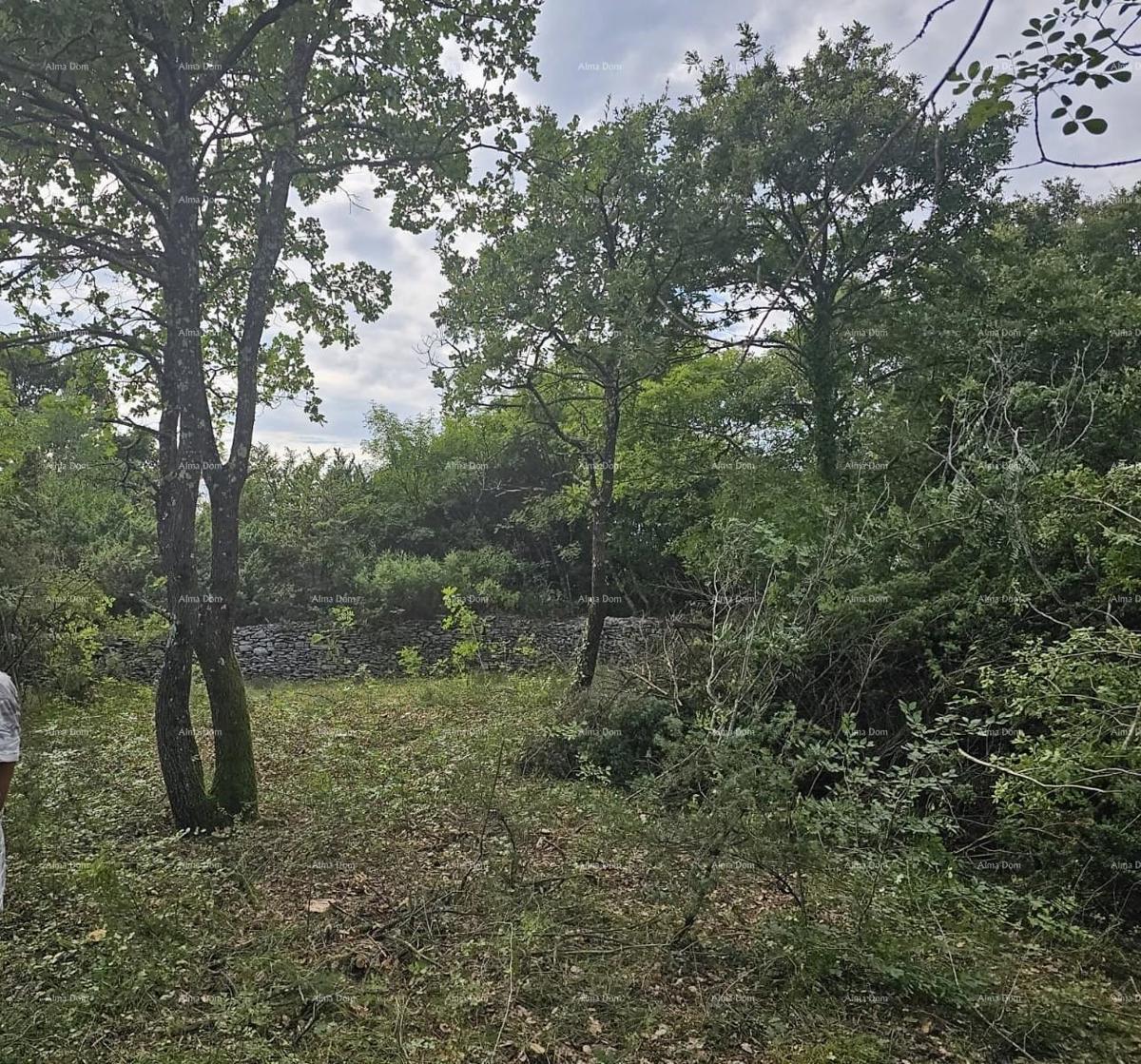 Građevinsko in kmetijsko zemljišče v bližini Svetvinčenta: 11100 m² za vašo naložbo