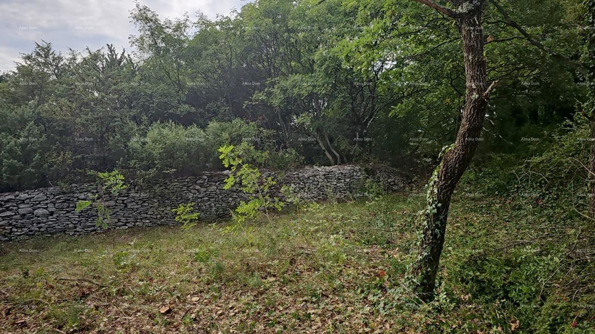 Građevinsko in kmetijsko zemljišče v bližini Svetvinčenta: 11100 m² za vašo naložbo