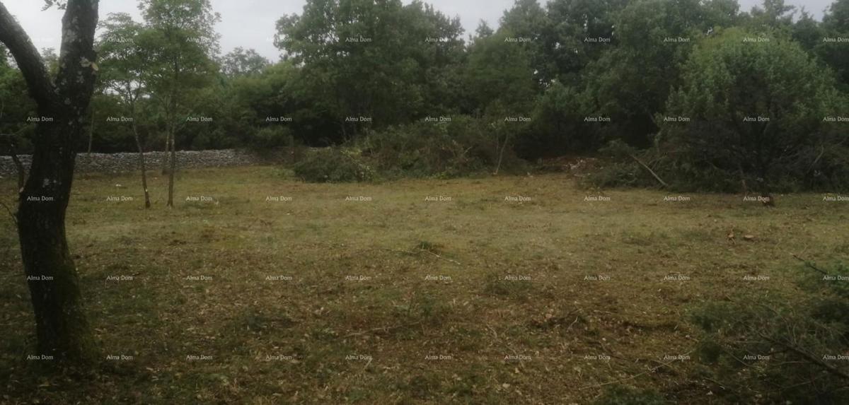 Građevinsko in kmetijsko zemljišče v bližini Svetvinčenta: 11100 m² za vašo naložbo