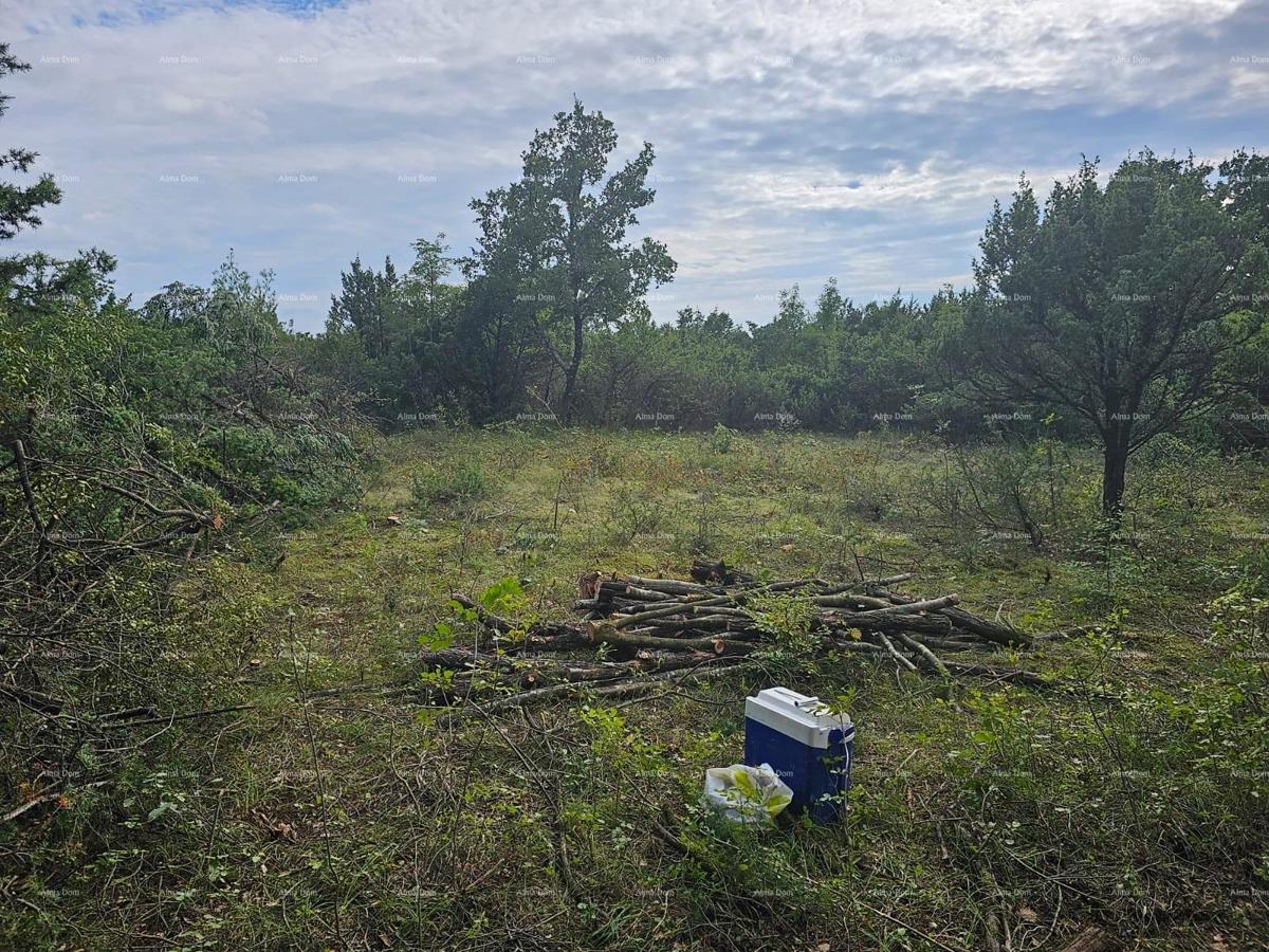 Građevinsko in kmetijsko zemljišče v bližini Svetvinčenta: 11100 m² za vašo naložbo