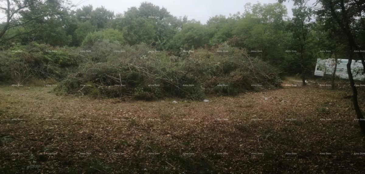 Građevinsko in kmetijsko zemljišče v bližini Svetvinčenta: 11100 m² za vašo naložbo