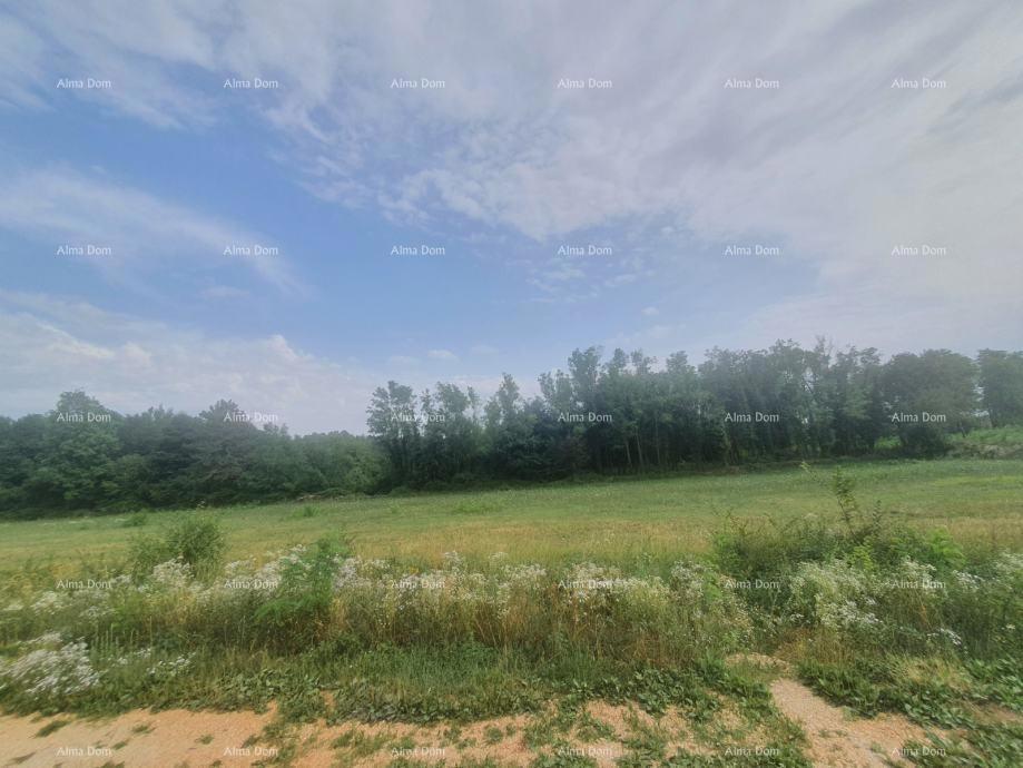 VIŠNJAN – ATRAKTIVNO GRADBENIŠKO ZEMLJIŠČE S POGLEDOM, 2.588 m²